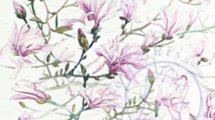 merkur ikizler aslan