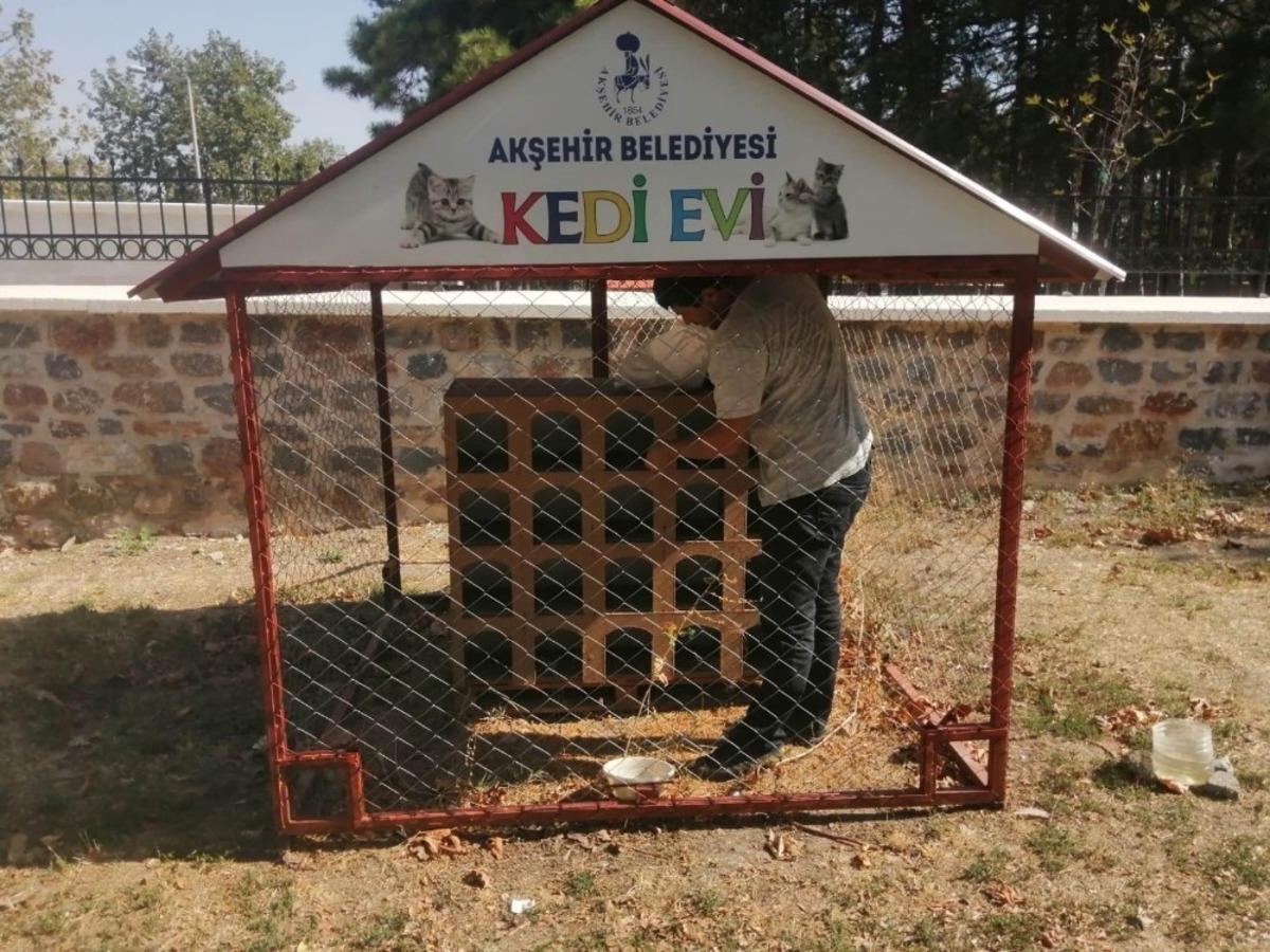 Akşehir Belediyesi sokak hayvanlarını beslemeyi  s&uuml;rd&uuml;r&uuml;yor