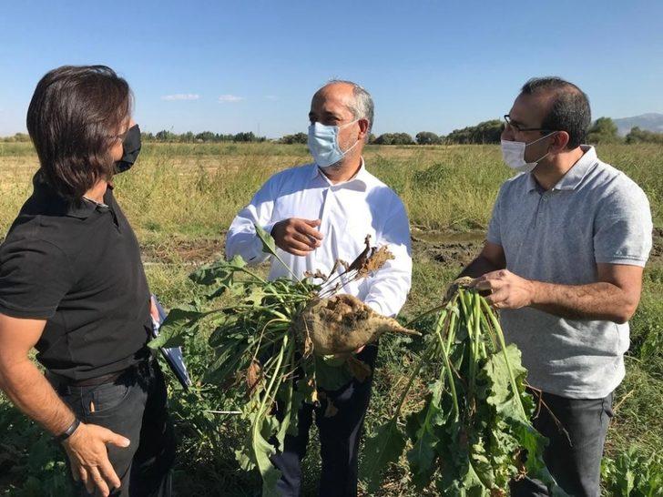 MŞÜ patates ve pancar üretiminde deneme ekimleri yaptı G2