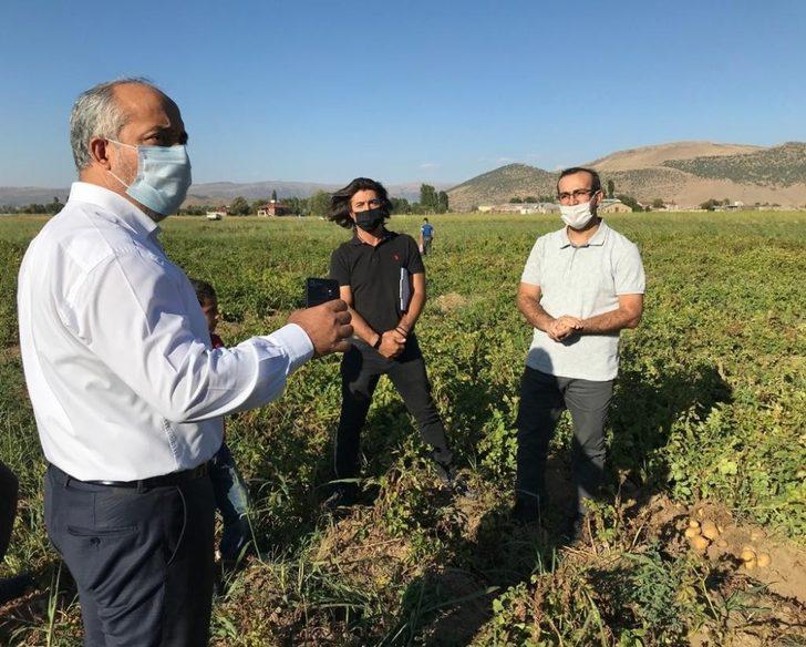 MŞÜ patates ve pancar üretiminde deneme ekimleri yaptı G3