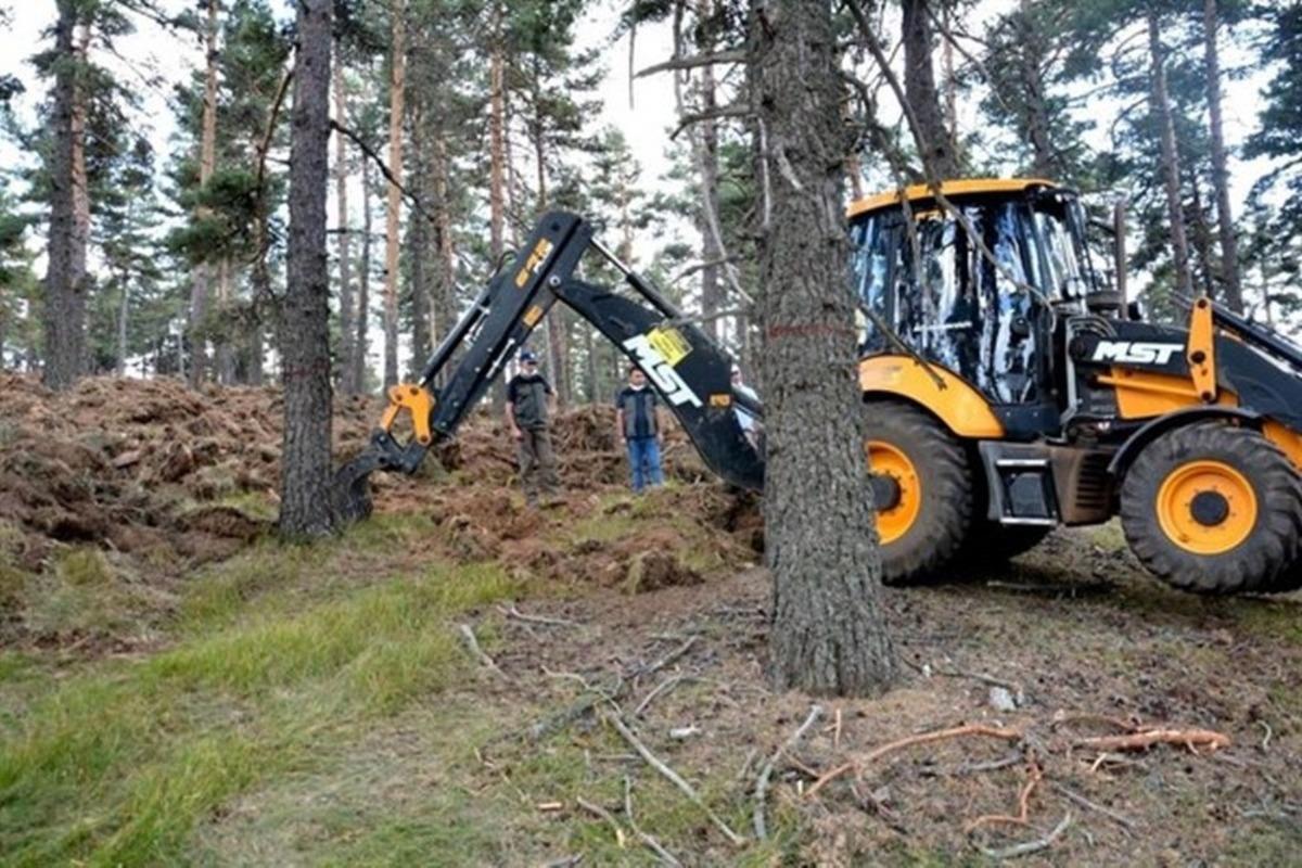 M&uuml;d&uuml;r Keskin: &ldquo;Yaşlı ormanları gen&ccedil;leştirmek i&ccedil;in &ccedil;alışıyoruz&rdquo;