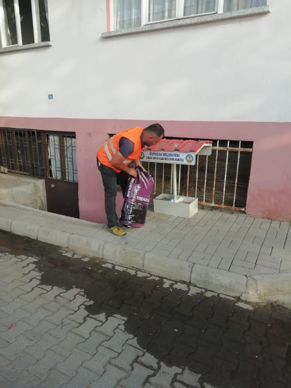 Kuyucak Belediyesi can dostları unutmadı