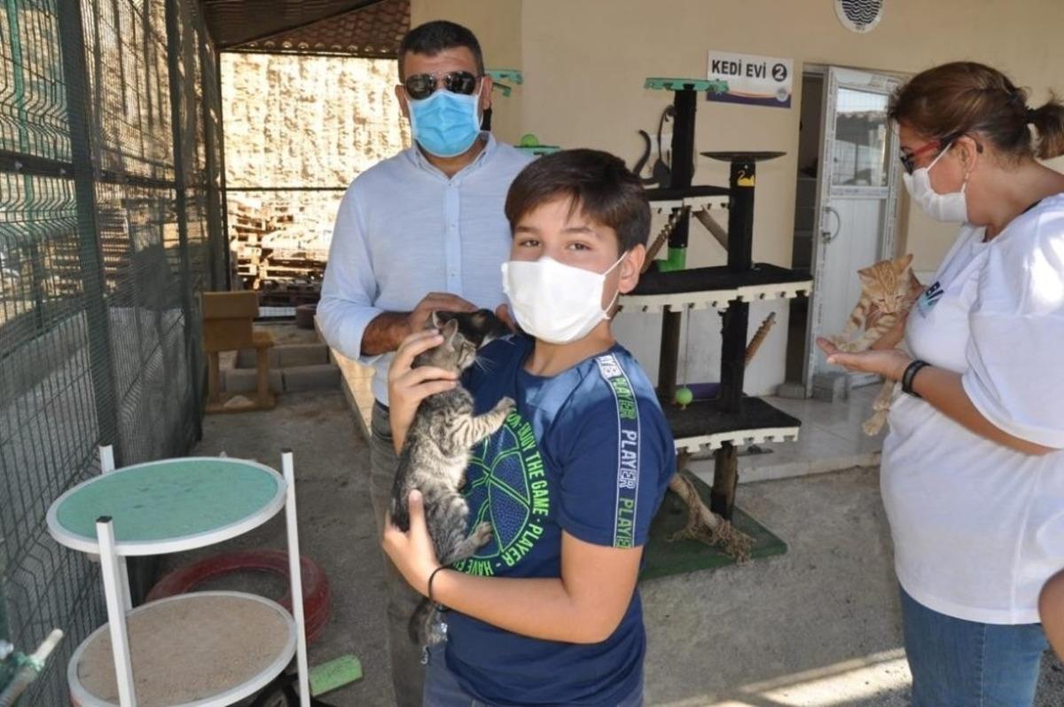Mersin&rsquo;deki hayvan barınağında 31 hayvan sahiplendirildi