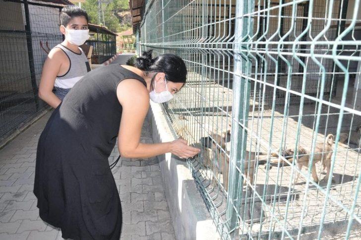 Mersin’deki hayvan barınağında 31 hayvan sahiplendirildi G3