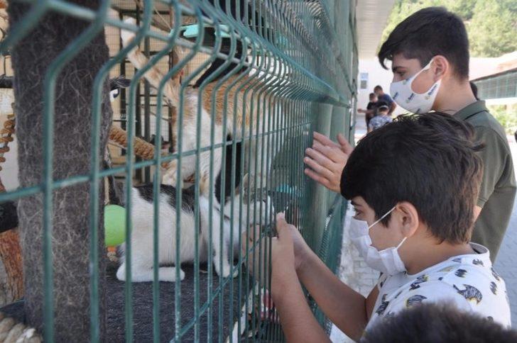 Mersin’deki hayvan barınağında 31 hayvan sahiplendirildi G4