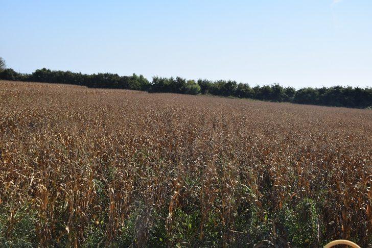 Antalya’nın en büyük açık hava laboratuvarı G4