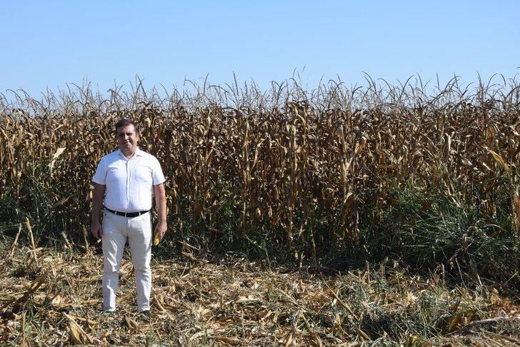 Antalya’nın en büyük açık hava laboratuvarı G5