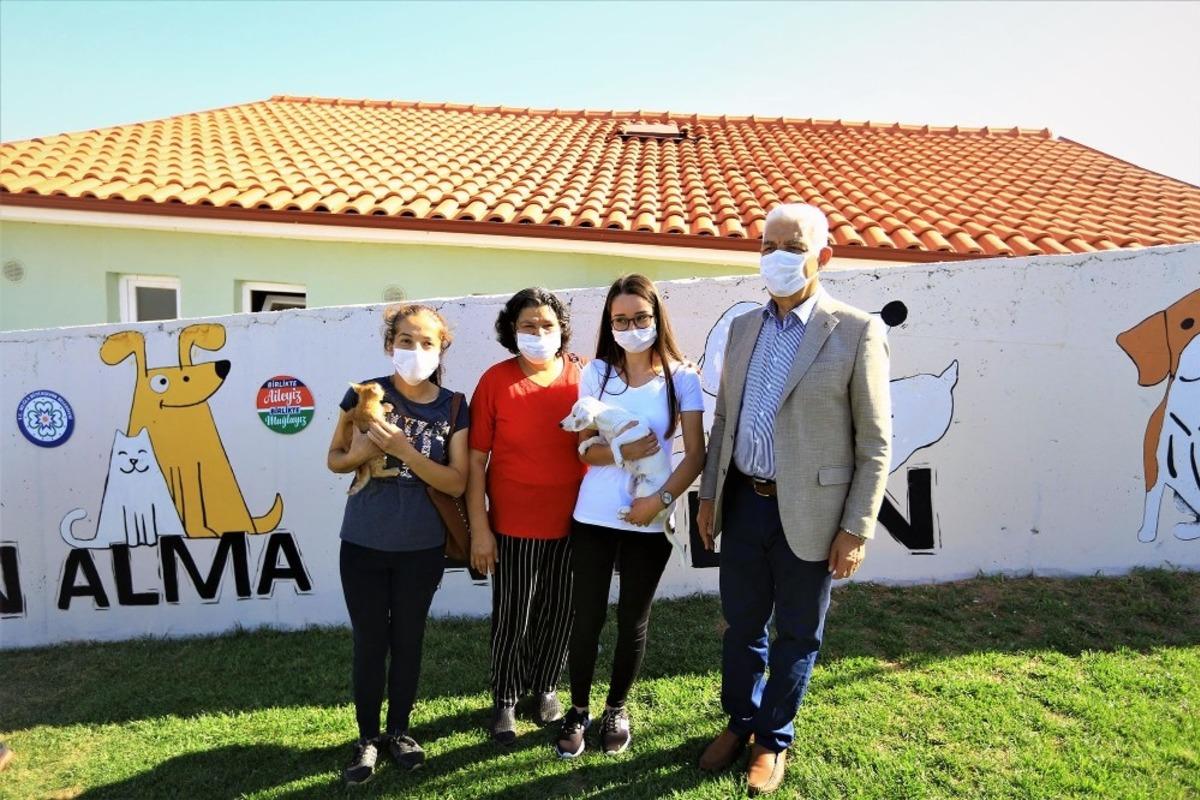 Muğla&rsquo;da 2 Bin 97 hayvan sahiplenildi