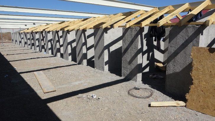 Vali Ayhan: Malaklı da bizim değerimiz ama Kangal Köpeği bir dünya markasıdır. G2