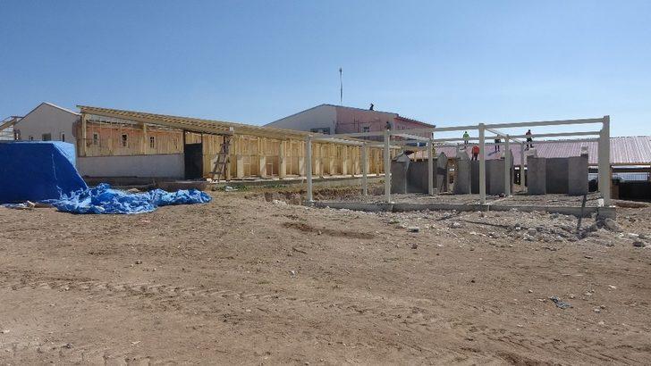 Vali Ayhan: Malaklı da bizim değerimiz ama Kangal Köpeği bir dünya markasıdır. G3