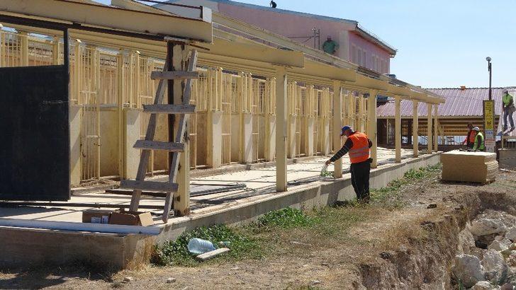 Vali Ayhan: Malaklı da bizim değerimiz ama Kangal Köpeği bir dünya markasıdır. G5