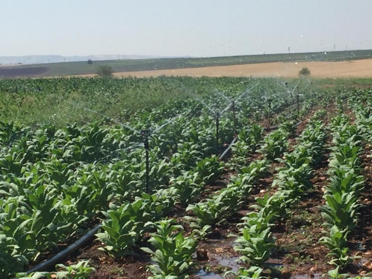 Samsat&rsquo;ta araziler sulanıyor