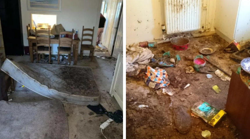 Eski kiracılar t&uuml;m evi kedi pisliği i&ccedil;inde bırakmış!