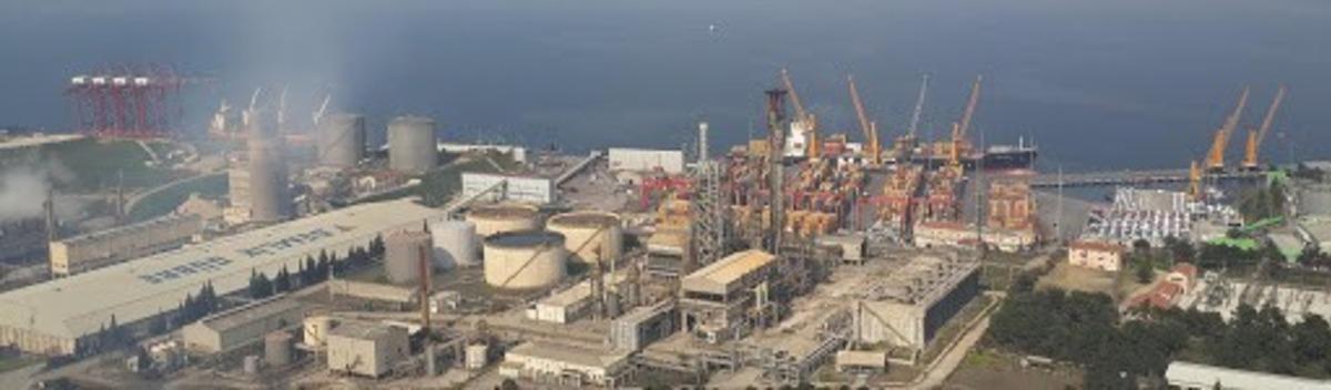 Gemlik G&uuml;bre B&uuml;y&uuml;k Şirket Anketinde Gemlik&rsquo;te ilk sırada yer aldı