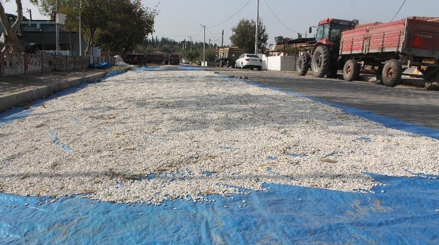 &Ccedil;ift&ccedil;iler &uuml;r&uuml;nlerini asfalt yollarda kurutuyor