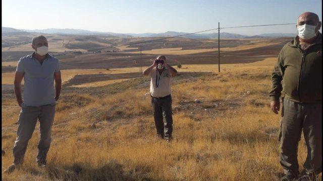 Elazığ’da ağla kurulu av düzeneği ele geçirildi