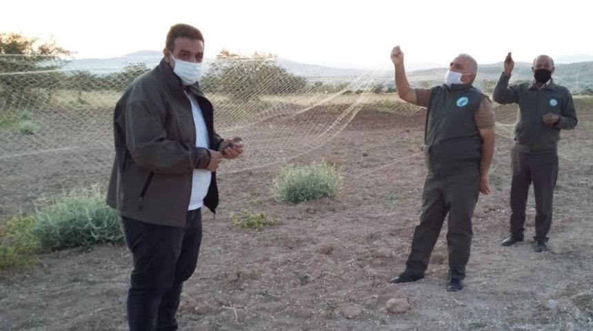 Elazığ&rsquo;da ağla kurulu av d&uuml;zeneği ele ge&ccedil;irildi