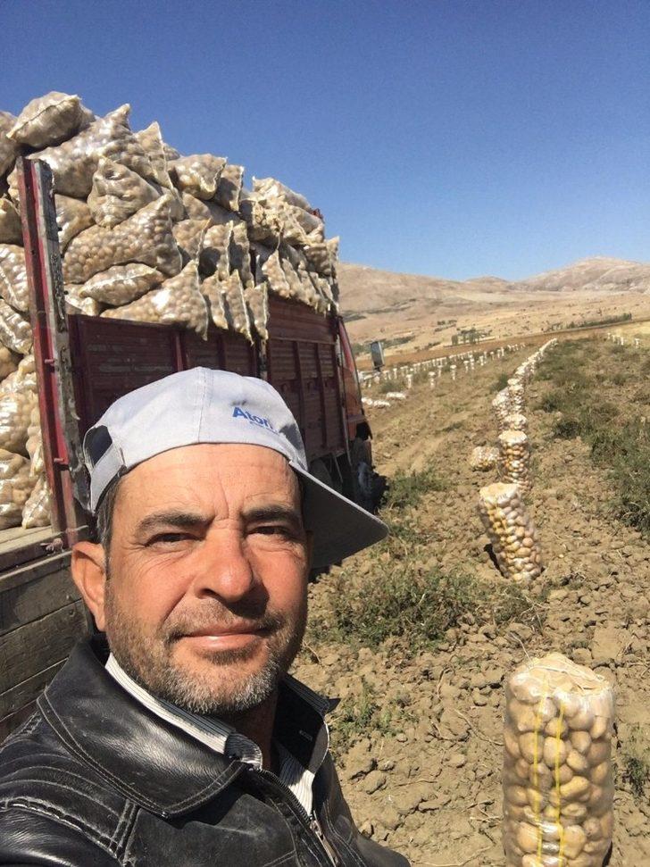 Yaylada patates hasatı başladı G3