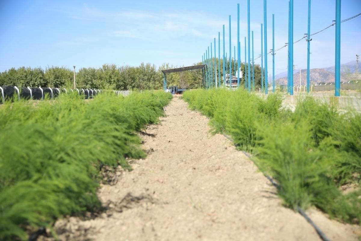 Aydın B&uuml;y&uuml;kşehir Belediyesi&rsquo;nin &Ccedil;ift&ccedil;i Merkezi&rsquo;nde &uuml;retim devam ediyor