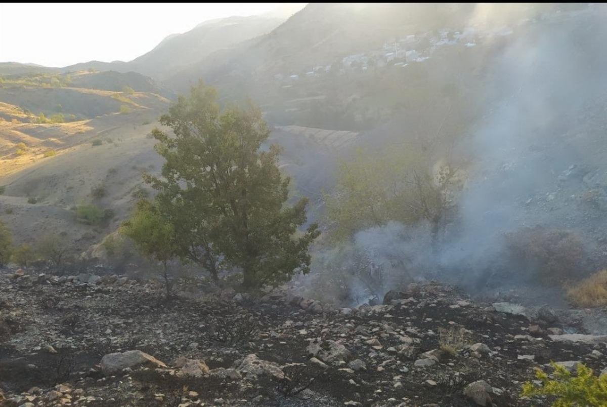 Orman yangınını k&ouml;yl&uuml;ler s&ouml;nd&uuml;rd&uuml;