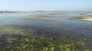 Büyükçekmece Gölü'nde doluluk oranı yüzde 18'e düştü!