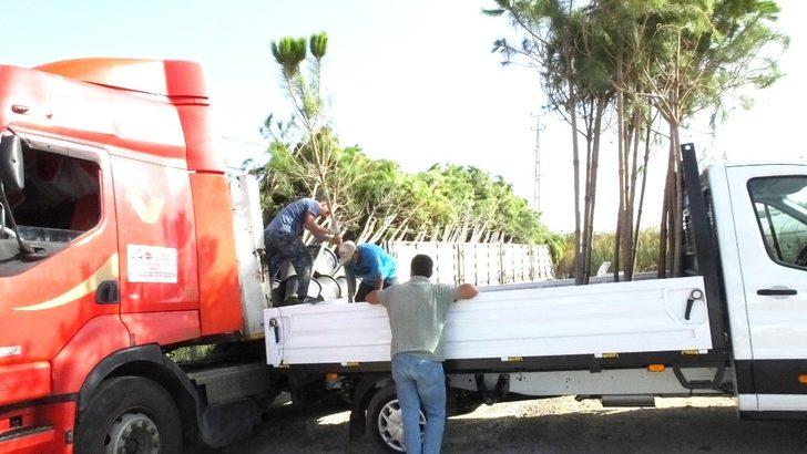 Burhaniye fıstıkçamı üretim merkezi oldu G3