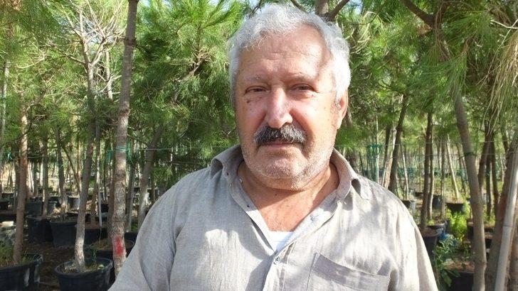 Burhaniye fıstıkçamı üretim merkezi oldu G4