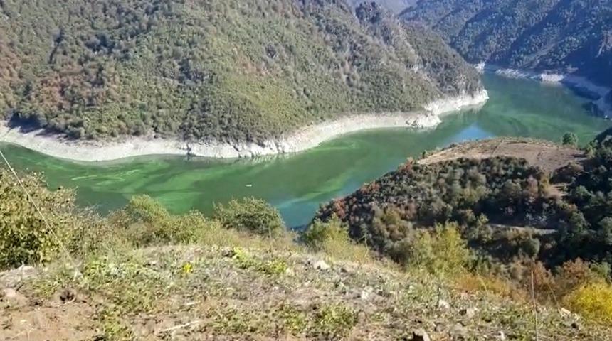 Tokat'ta korkutan manzara! Su yeşile boyandı, balıklar kıyıya vurdu