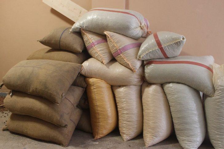 Eylül ayı içerisinde 33 bin 471 ton fındık ihraç edildi G1