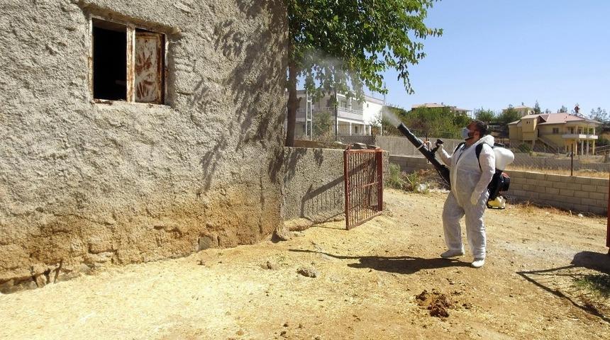 Kahramanmaraş’ta ‘Üçgün’ hastalığına karşı ilaçlama