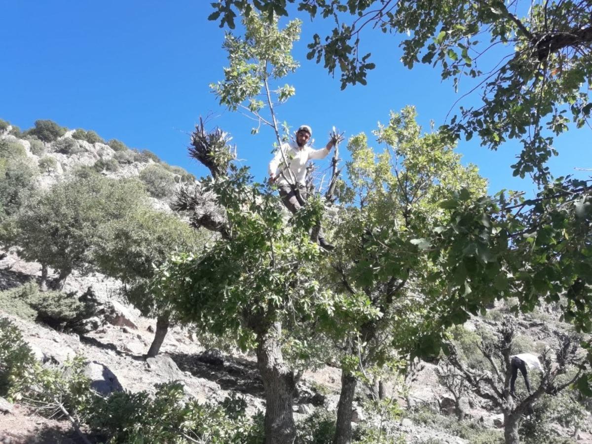 Sason&rsquo;da besiciler kış hazırlığına başladı