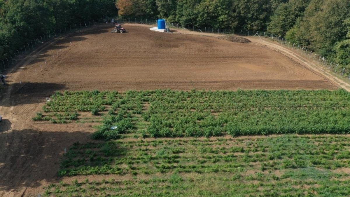 İzmit Belediyesi Tarımsal &Uuml;retim Bah&ccedil;esinde kış hazırlığı