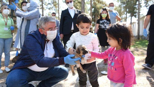 Çorum’da ’Hayvanları Koruma Günü’ kutlandı