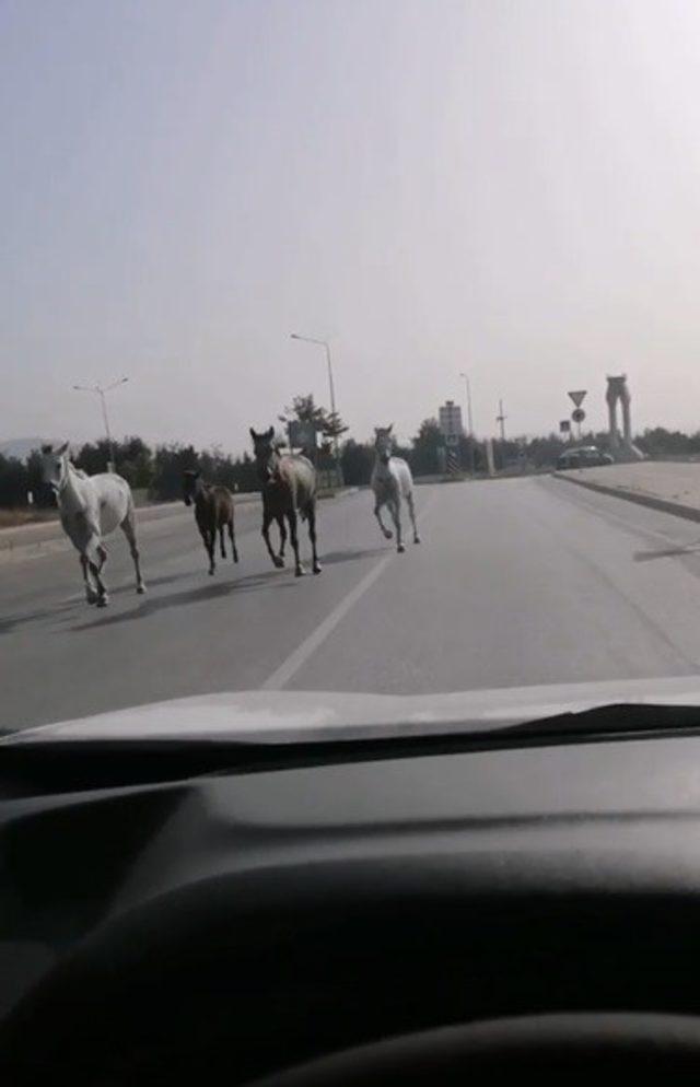 Veliefendi değil Bursa caddeleri