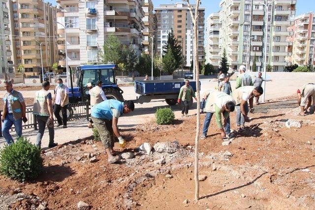 Haliliye’de parklar ağaçlandırılıyor