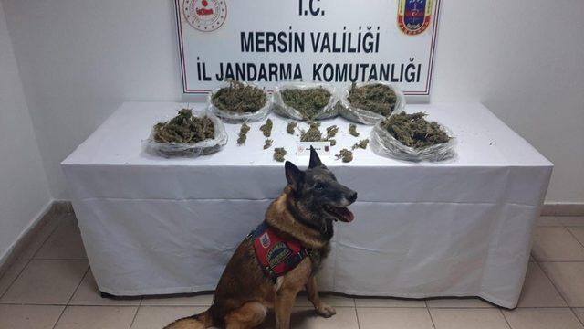 Mersin’de uyuşturucu operasyonu