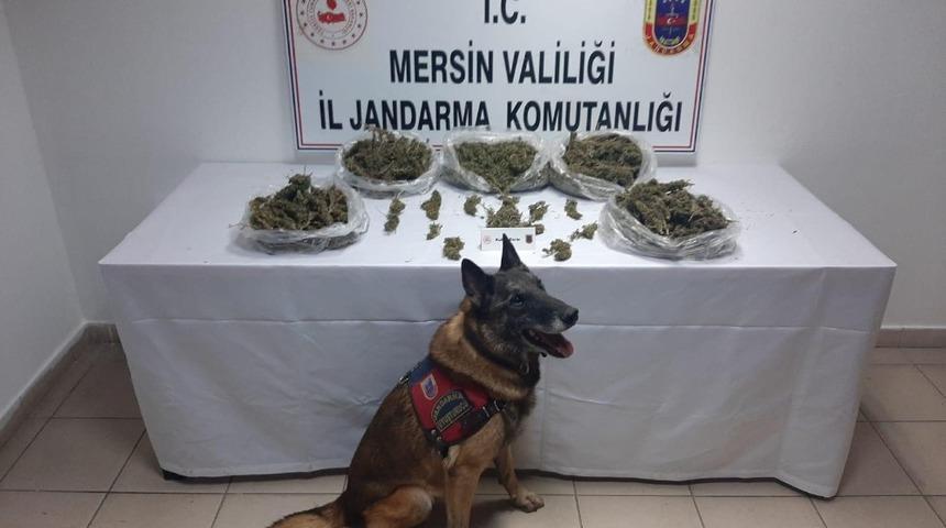 Mersin’de uyuşturucu operasyonu