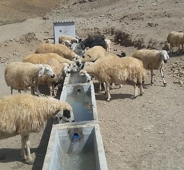 Tunceli’de HİS ve sulama projesi çalışmaları