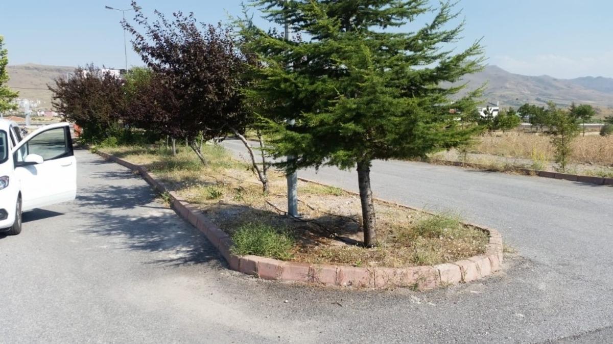 Kayseri &Uuml;niversitesi Seyrani Meslek Y&uuml;ksekokulu&rsquo;nun peyzaj &ccedil;alışmaları tamamlandı