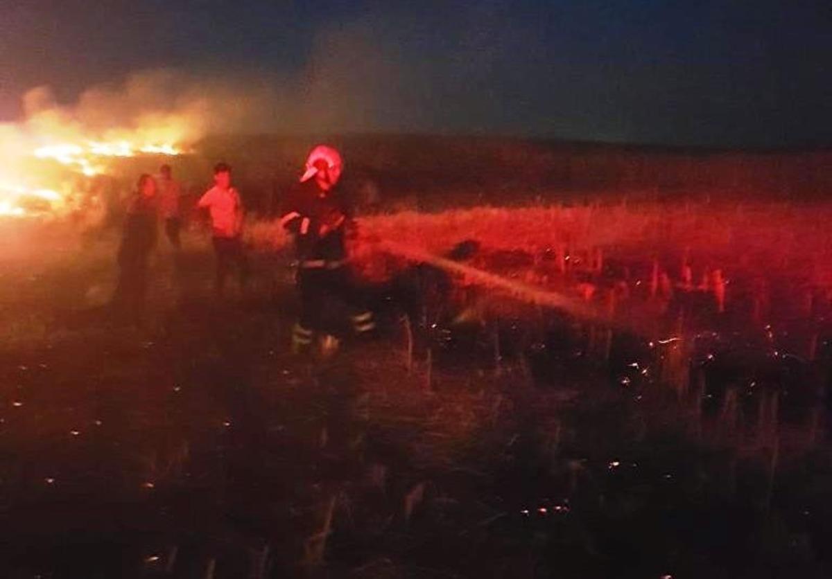 Şanlıurfa&rsquo;da mısır tarlasındaki yangın korkuttu