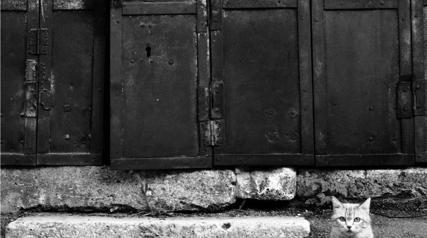 GSF &ouml;ğrencisinden anlamlı başarı