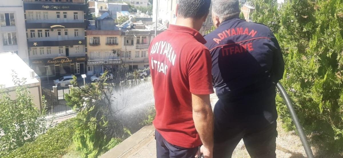 Yanan ağa&ccedil; itfaiye ekiplerince s&ouml;nd&uuml;r&uuml;ld&uuml;