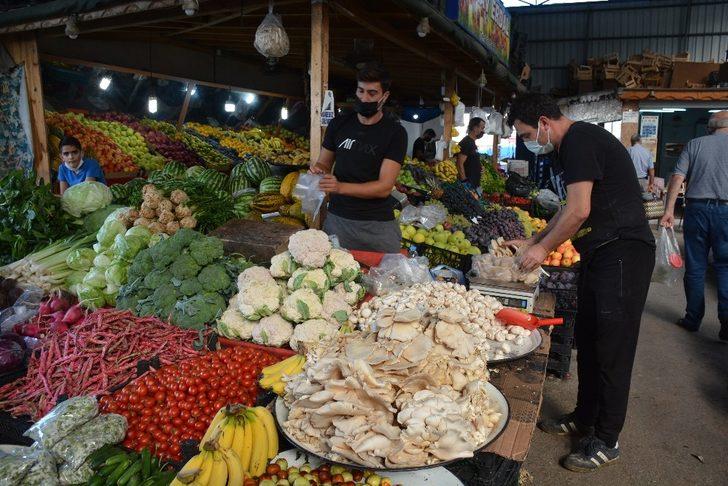 İstiridye mantarı tezgâhlarda G3
