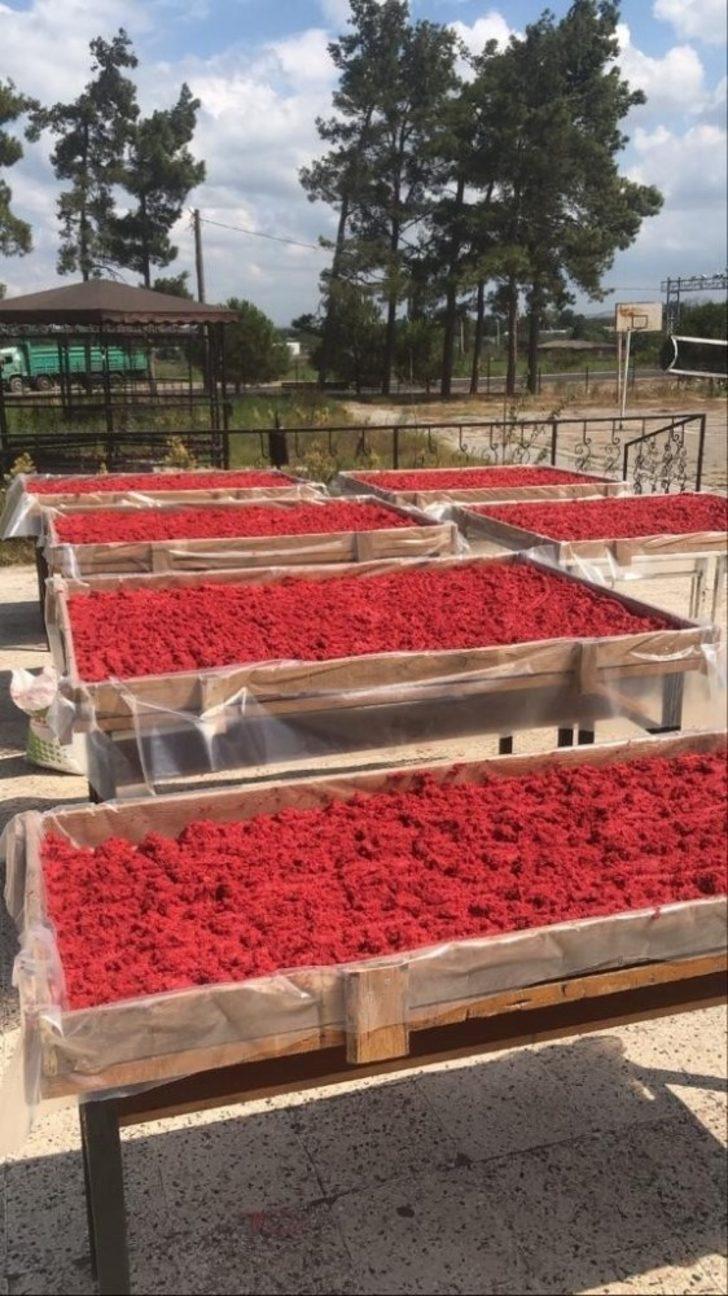 Manyas’ta öğrenciler salça üreterek para kazandı G4