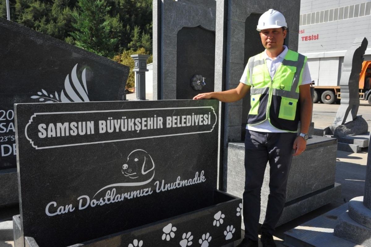 Can dostlar i&ccedil;in doğal mama ve su kabı