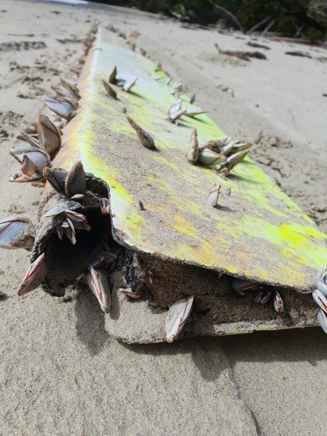 0_Search-for-MH370-takes-new-twist-as-debris-washes-up-on-Queensland-beach (1)