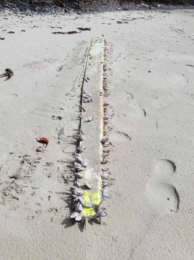 0_Search-for-MH370-takes-new-twist-as-debris-washes-up-on-Queensland-beach