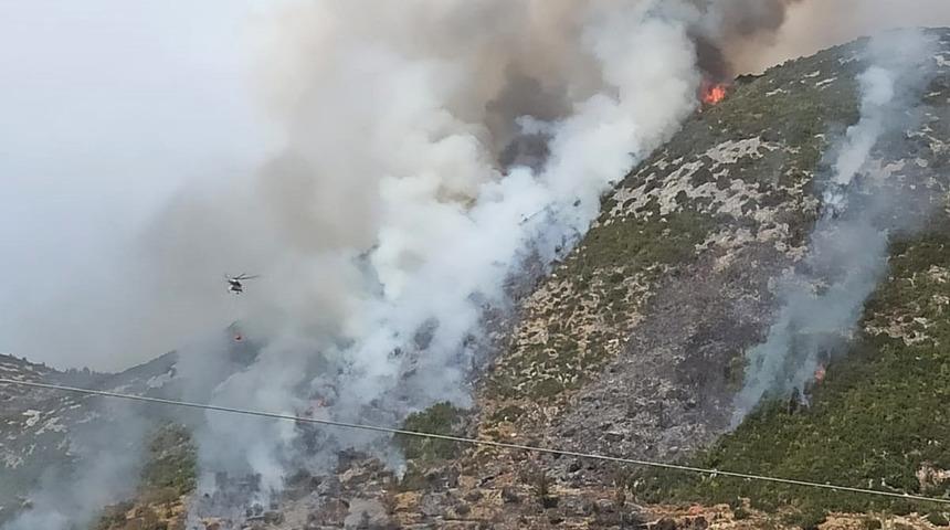 Alanya'da makilik alanda korkutan yangın