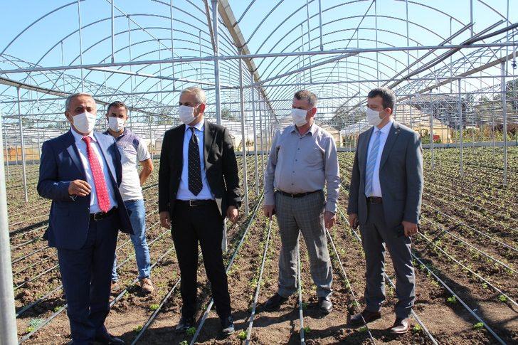 Sağlam: "Çarşamba’da sera köyü kurulabilir" G2