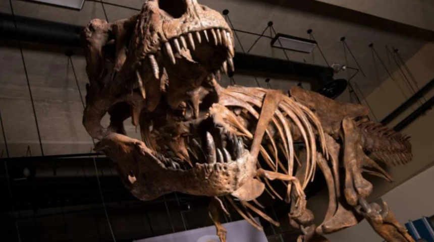 ABD’de 67 milyon yıllık dinozor iskeleti 31.85 milyon dolara alıcı buldu